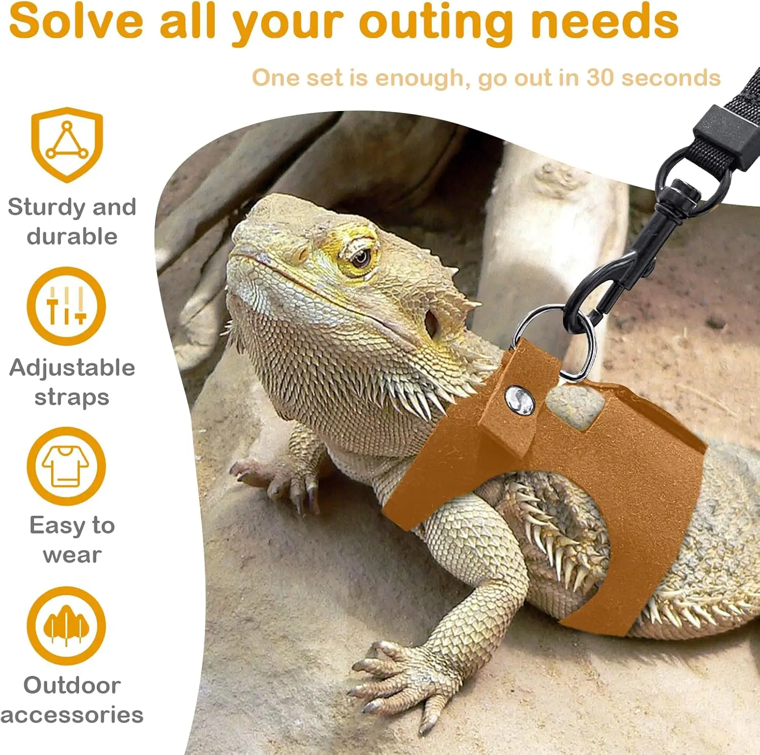 Adjustable Bearded Dragon Harness Set 6