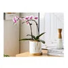 11/14/17cm Nordic Ceramic Flower Pots Small Succulent Green Plants Flowerpot with Tray Home Desktop Decoration Garden Supplies 6