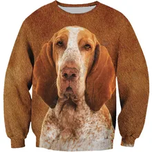 

Bracco Italiano Sweatshirt 3d Printed Women For Men Sweater Sweatshirt Streetwear Funny Animal Pullover 10 Color
