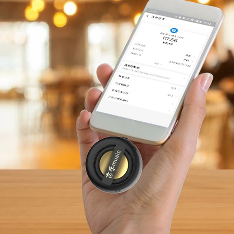 Portable Mini Speaker Universal Sound Box Type-C And Jack