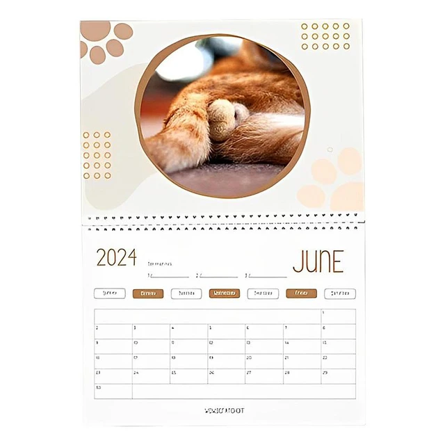 Cat Butts 2024 For Cat Lovers Funny Cats Calendar Kitten Butt Calendar 2024  Monthly Wall Calendars Cute Funny Calendar For Table - AliExpress
