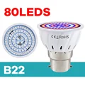 B22-80Leds
