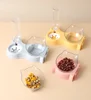 Pet Cat Food Bowl Automatic Feeder All-in-One Splice Dog Cat Food Bowl and Drinking Fountain Drinking Raised Standing Dish Bowl 6