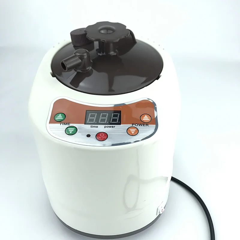 Portable 2L 220V 110V Sauna Steamer Sauna Accessories Pot Stainless Steel Sauna Steam Generator Fumigation Machine for Home 5
