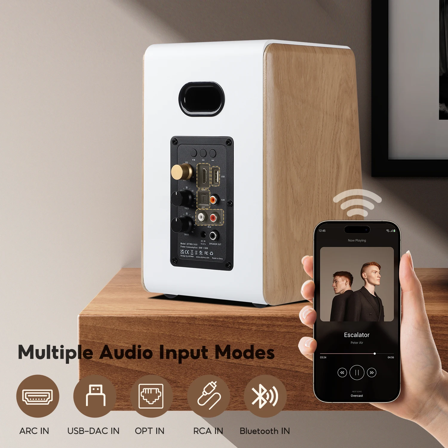 コイズミ無線有限会社 AIYIMA P600 パッシブ スピーカー 6.5インチ