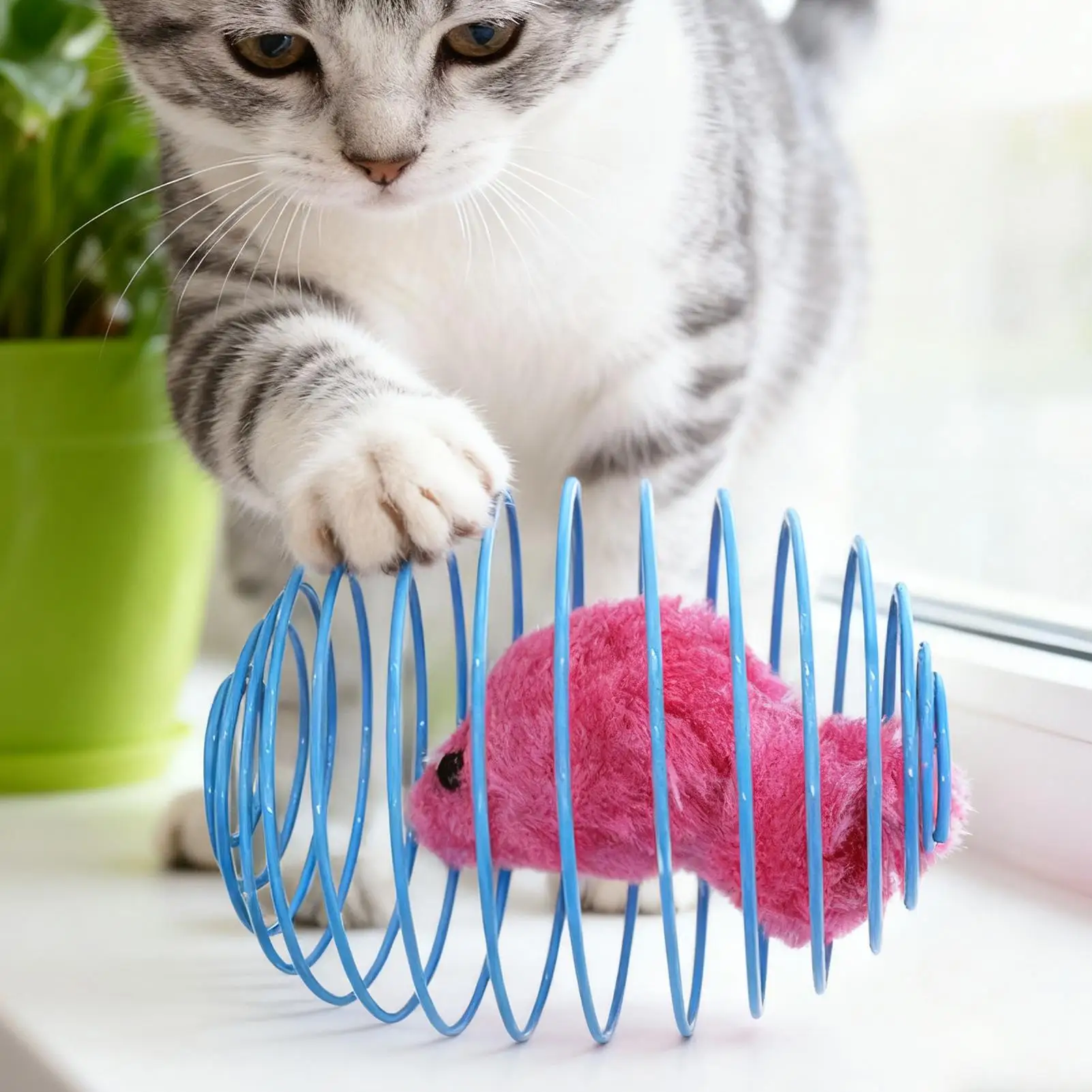Cat Spring Toy Colorful Fun Stretchable Pet Games Indoor Cat Toys For Home Outdoor Play Training Exercise Mental Stimulation