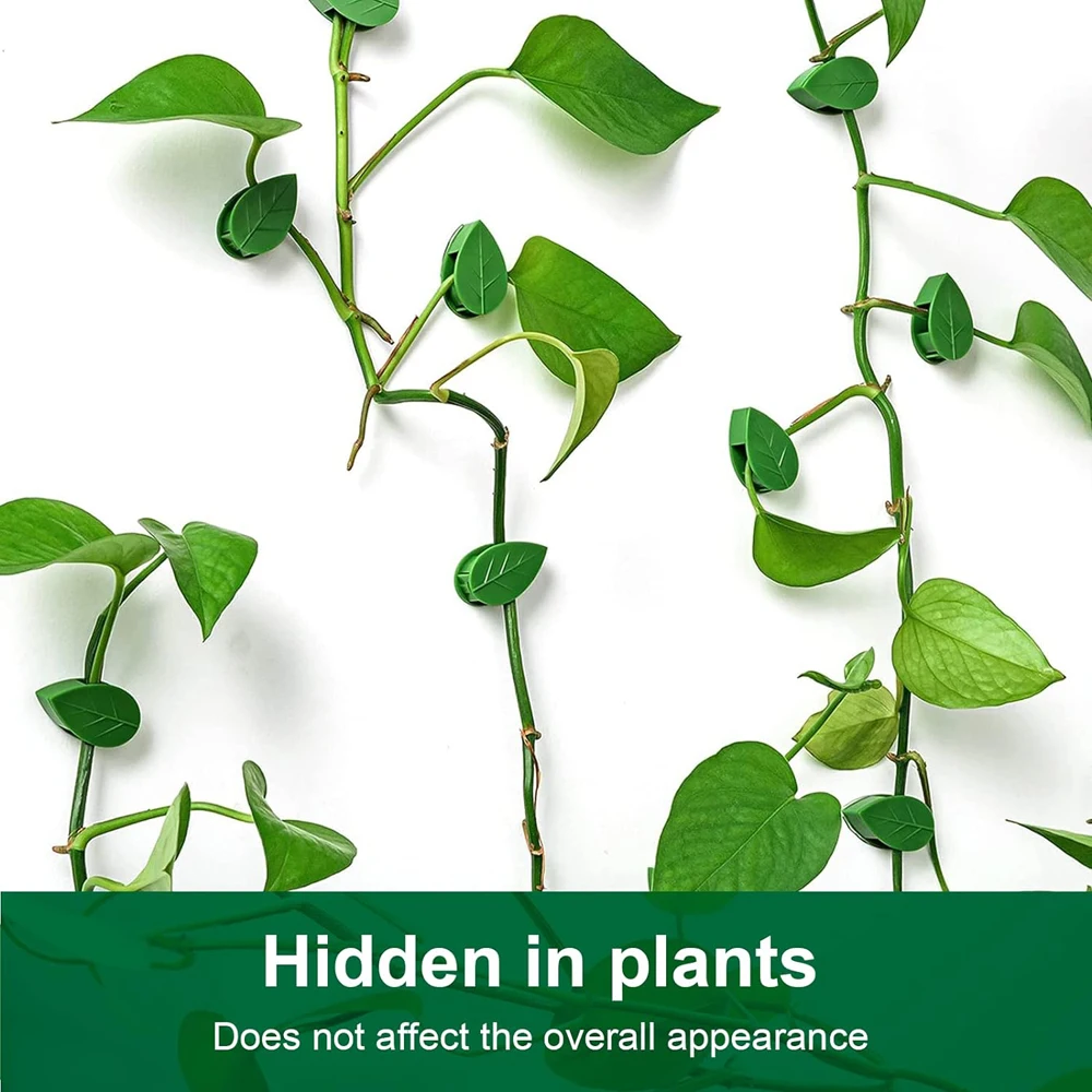 Invisible Plant Climbing Wall Fixture Clips 10-50Pcs PcsRattan Vine Bracket Fixed Buckle Leaf Clips Traction Holder Garden 3