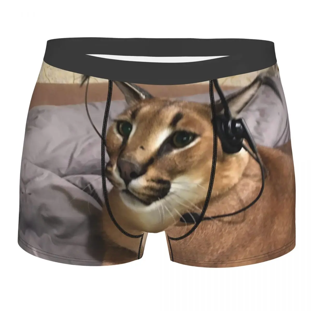 

Big Floppa Underwear Men Printed Custom Funny Caracal Cat Boxer Shorts Panties Briefs Breathable Underpants