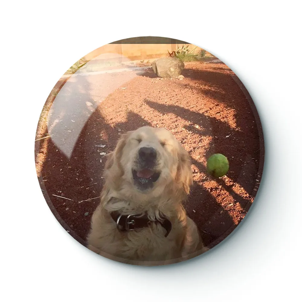

DOG MEME 051 Buttons Brooches Pin Jewelry Accessory Customize Brooch Fashion Lapel Badges