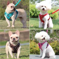 Harness and Leash Set Pet Accessories Dog Harness For Small Dog French Bulldog Pug Pitbull Puppy Pectoral Collar Chiens Supplies 2