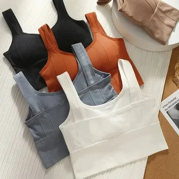 Sports Bra with Sweat-proof Function for Fitness Wear. Women's Seamless Yoga Bra. Anti-shock Off-shoulder Top. 1