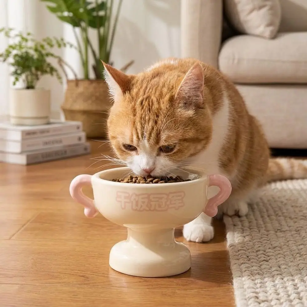 Ciotola Rialzata per Cibo e Acqua per Gatti, Grande Capacità, Base Alta in Ceramica, Stabile e Antiscivolo, Accessori per Animali Domestici - immagine 2