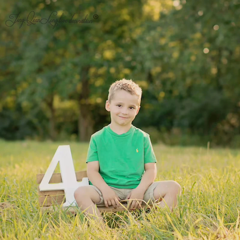 0-9 Sign Age Photo Prop Wooden pvc Age Numbers For Children Photos Large Wooden pvc Numbers wooden age numbers