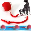 Cat Interactive Ball Toys Automatic Rolling Ball Faux Tail Rechargeable Smart Pet Electronic Toy Dog Cat Training Imitate Mouse