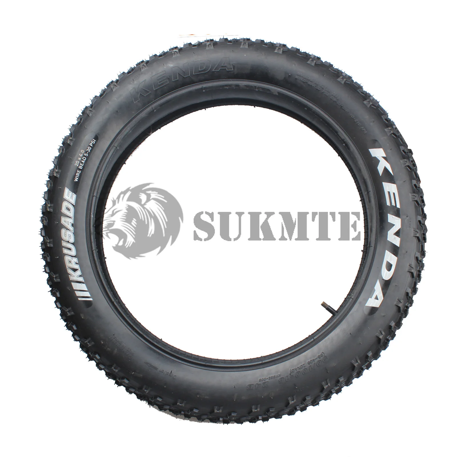 Tingatinga 20×20cm (3) A20316 20 Inch Fat Tire Bike Adult Teen Full Shimano 7 Speed