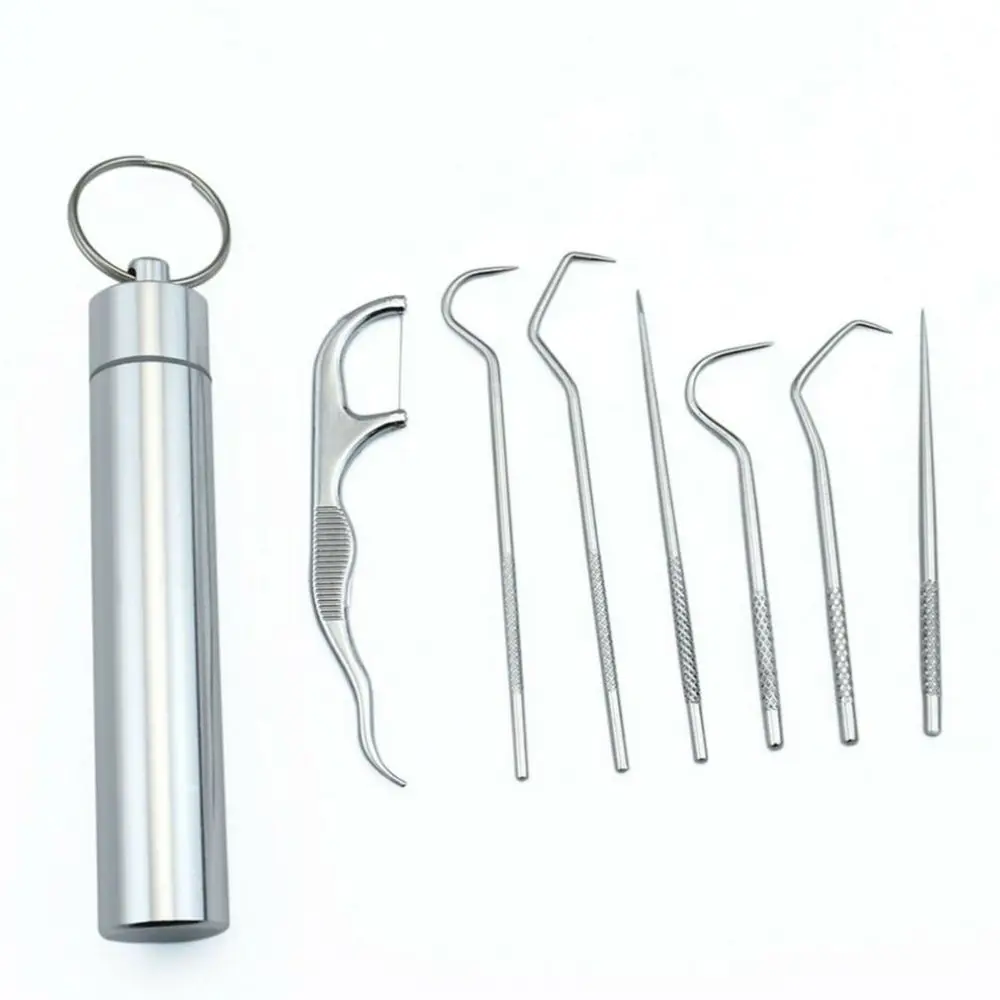 1 Set Stainless Steel Toothpick Set Portable Oral Cleaning Tools Tooth Flossing Artifact Outdoor Picnic Camp Reusable Toothpick toothpick set toothpicks set