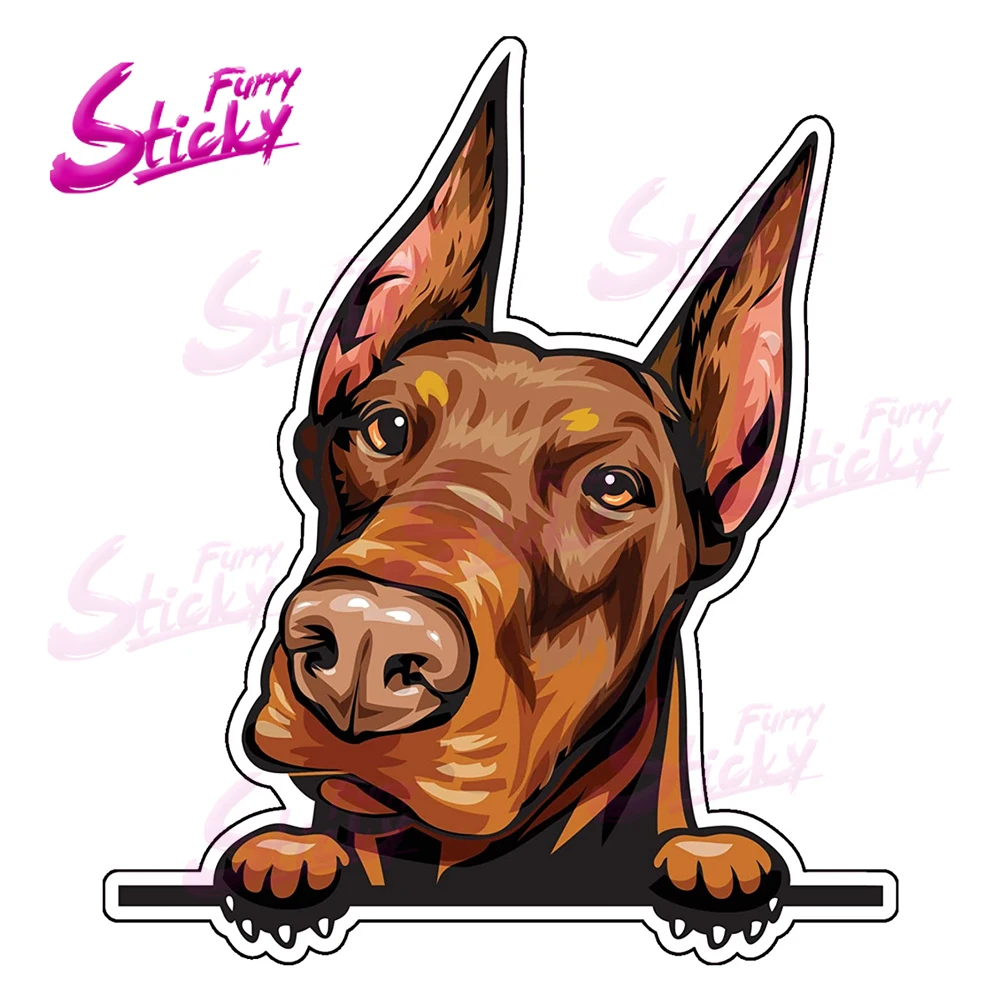 Furry Sticky Doberman Pinscher Vinyl Decal Dog Breed Bumper Sticker Per Laptop Window Car Truck Wall Car Stickers