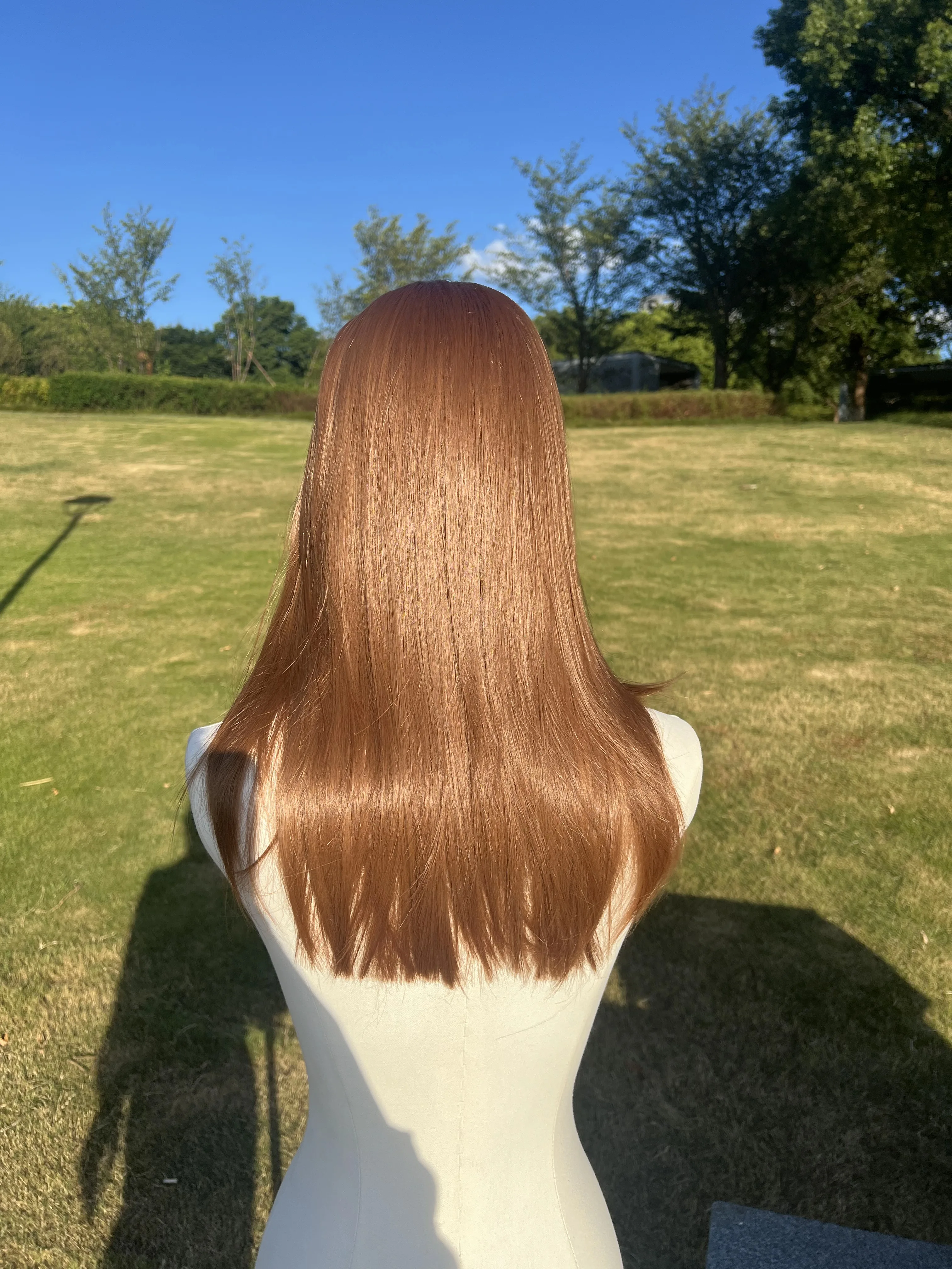 22 inch Lace 6 * 1.5 Straight Hair Wig With Heat Dissipation Lace For Women's Daily Party Layering Short Wig
