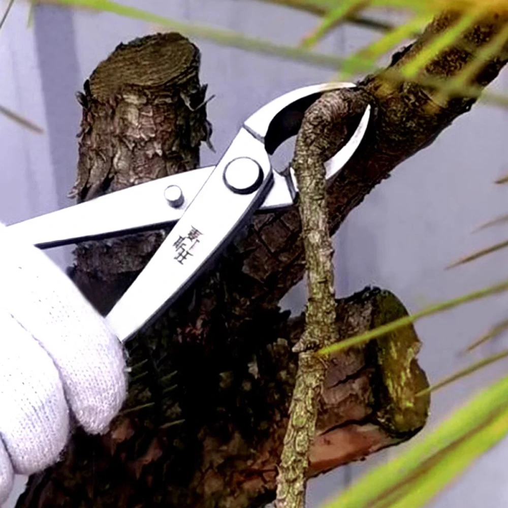 Slide image ad08fa750a534e25bf96f0bf2c46b1b4