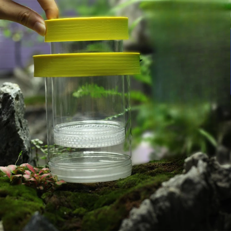 Aquarium Peacock Fish Breeding Box Aquarium Hatcher Small Fish Birth Room Hanging Isolation Box Aquarium Accessories