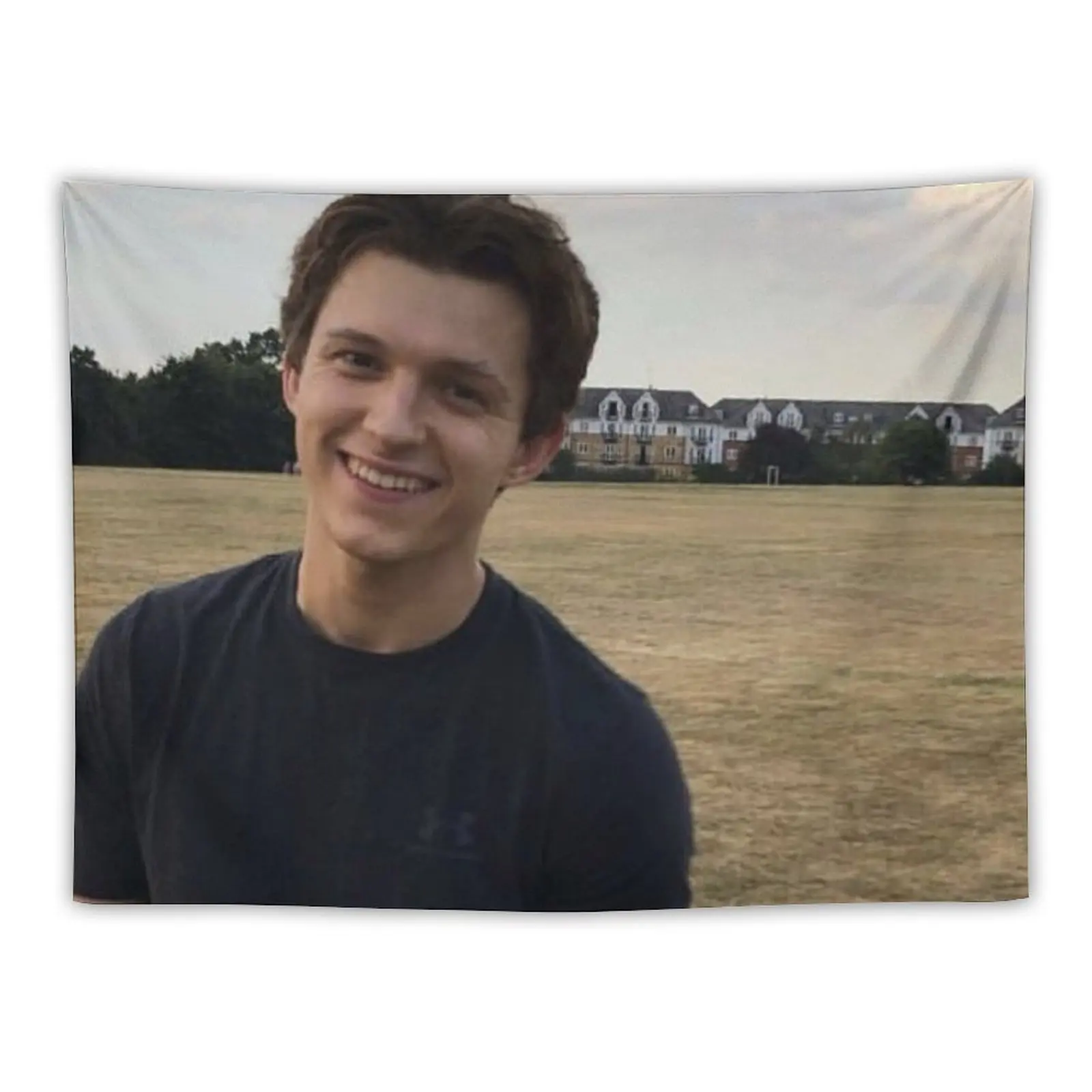 

Tom Holland Tapestry Home Decorators Wall Hangings Decoration