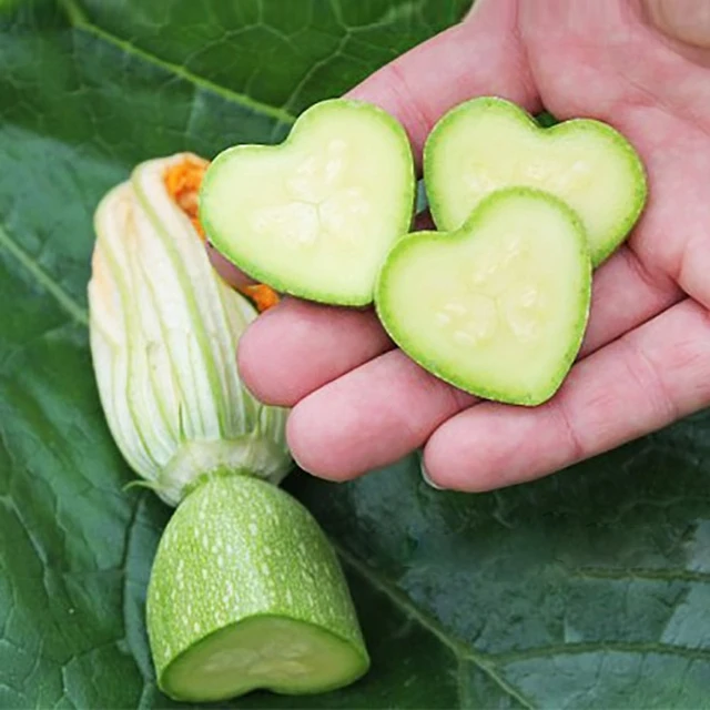 Műanyag Szív/Csillag/Szerelmi Gyümölcs Formáló Penész -Eper Uborka Növekedés Képző Növénytermesztés Kerti Óvoda Edény - Image 3