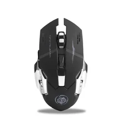 Rechargeable RGB LED Ergonomic Wireless Mouse with Type - C Connection (DM - Black)