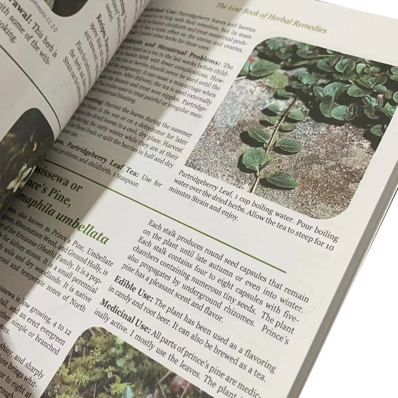 The Lost Book of Herbal Remedies The Healing Power of Plant Medicine Colored Inner Pages Paperback