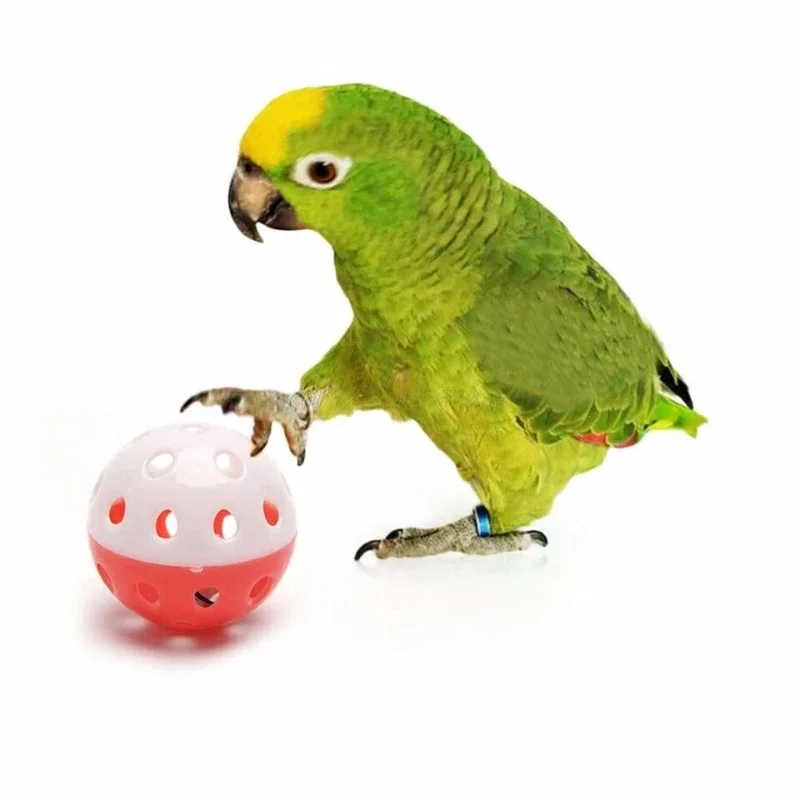 

5pcs Pet Parrot Toy Colorful Hollow Rolling Bell Ball Bird Toy Parakeet Cockatiel Parrot Chew Cage Fun Toys Pet Bird Supplies