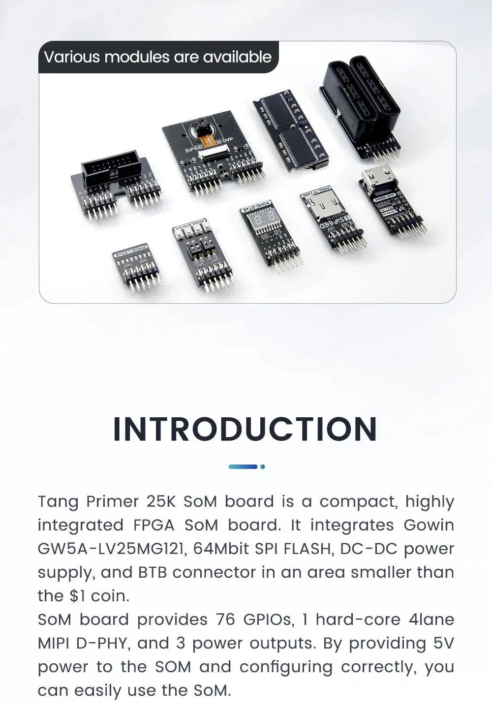 Sipeed Tang Primer 25K FPGA Development Board GOWIN GW5A RISC-V PMOD SDRAM 23K L