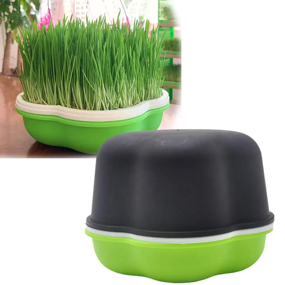 Peanut Soilless Water Cultivation Bean Sprout Plant Box Tray Planting Pot Supplies Planting Garden Seedling Sprout Product