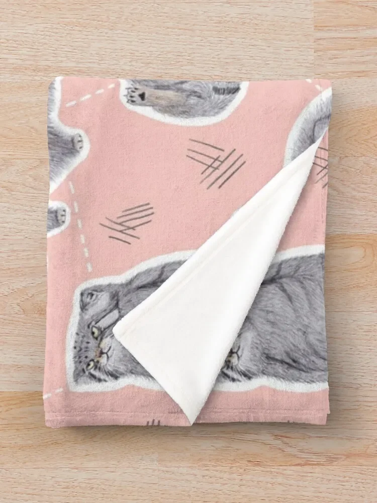 �� �۱� �ȶ� ������ ������ ���, �� �̺�, ��Ƽ�� ���� ���