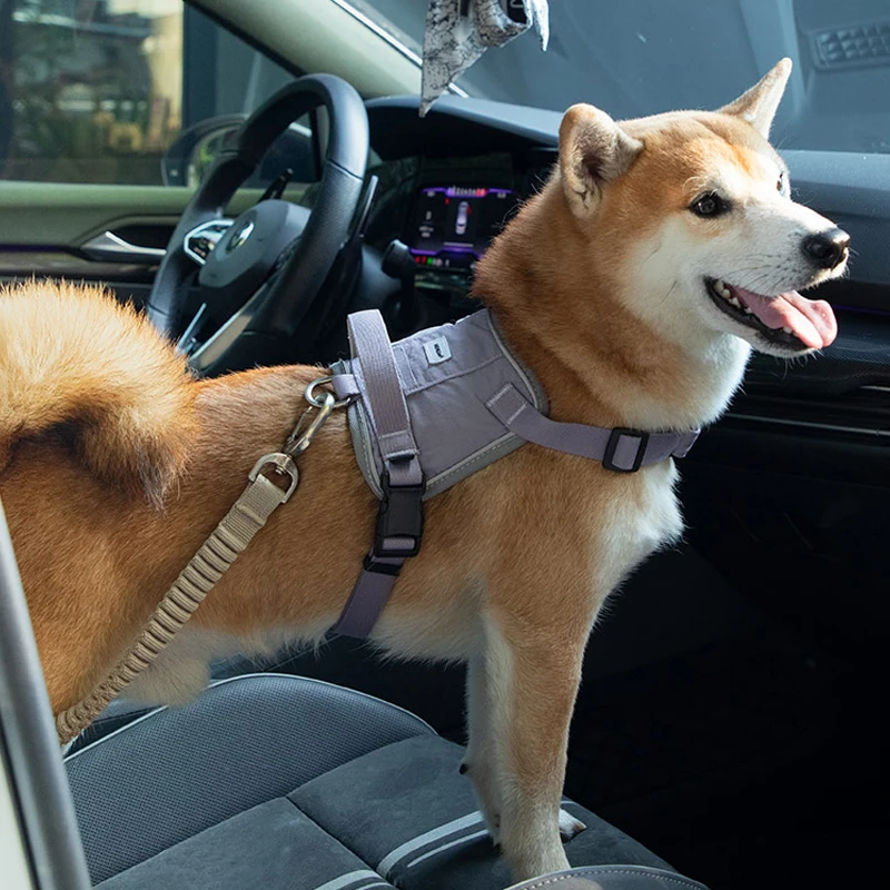 Adjustable er Car Pet Seat Belt Retractable Elastic Rope Dog Safety Leash Strap Travel Car Safety Rope Dog Accessories