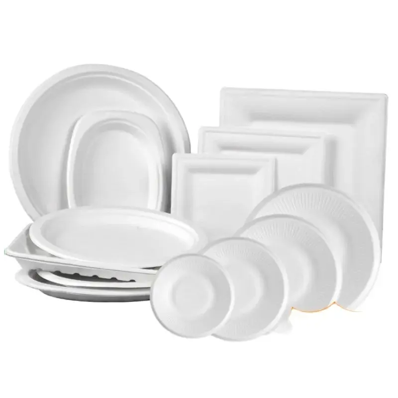 Party Tableware Disposable Plates 3 Compartment Tray Compostable Degradable Dinnerware 50pcs for Picnic party tableware,disposable food trays