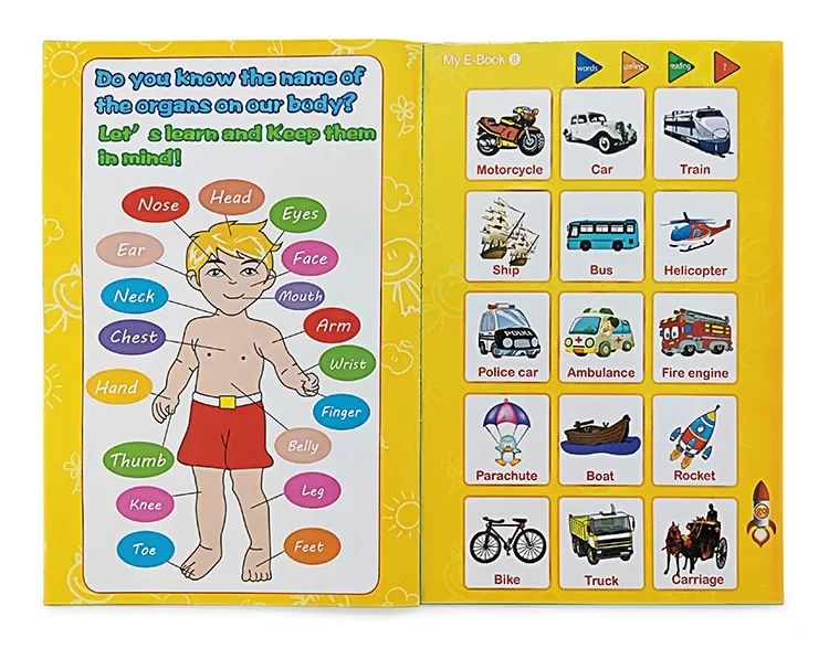 Interaktives Lernbuch Mit Stift Für Kinder Englisch_voghion.com