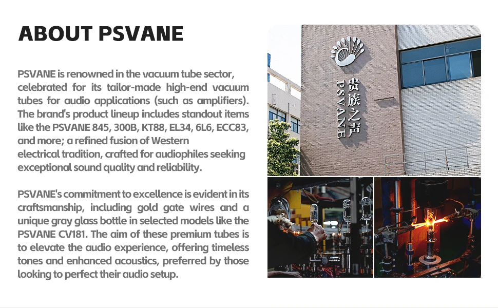 PSVANE Horizon 2A3-AT Vakuumröhren-Upgrade 2A3 2A3C 2A3D 2A3B WE2A3 2A3T HIFI Audio Röhre Elektronenröhre für Verstärker – Detail 7