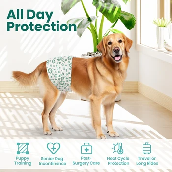 Disposable Dog Diapers 5