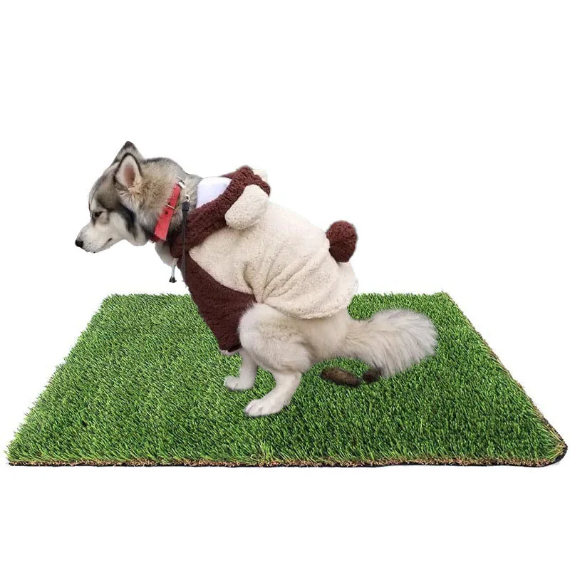 Toilet for dogs Pet poop bag waste and household cleaning toilet mat