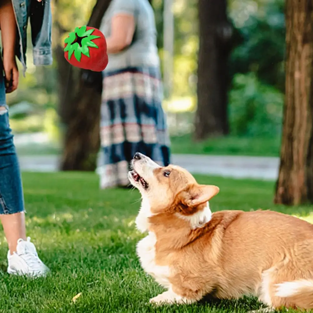 

Durable Pet Toy for Hard Teeth Durable Dog Toys for Chewers Treat Dispensing Balls Teeth-grinding for Breeds for Boredom