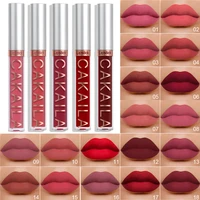 Dark Red Matte Lip Gloss 18 Color Velvet Lip Glaze LongLasting Waterproof Liquid Lipstick Natural Makeup Sexy for Women Lip Tint 4