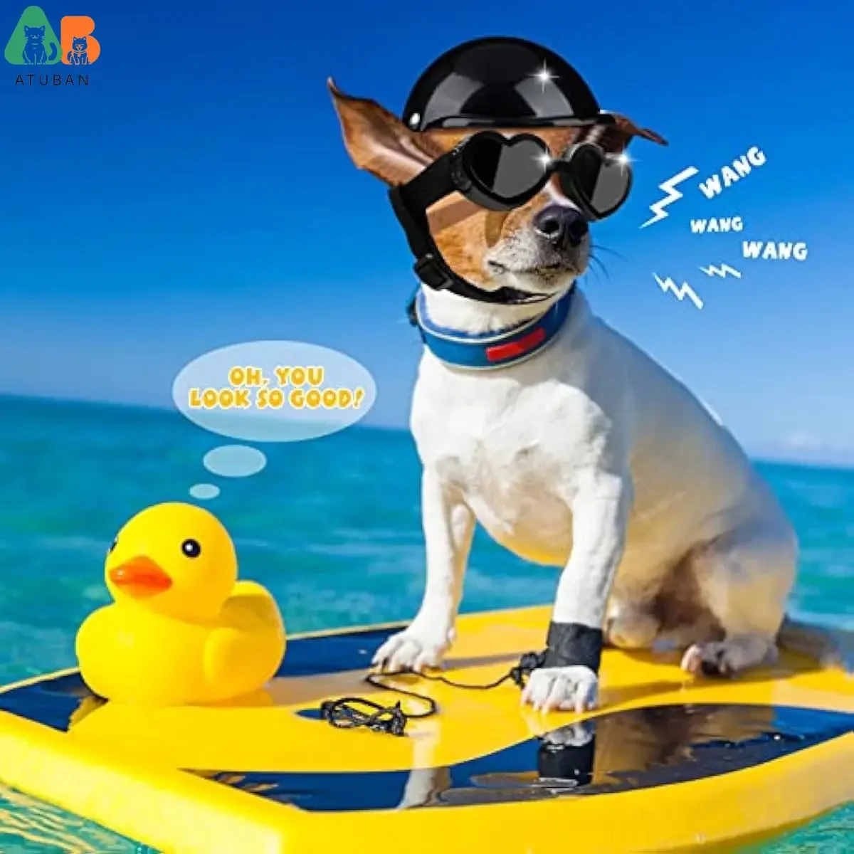 Small Dog Helmet & Goggles 6