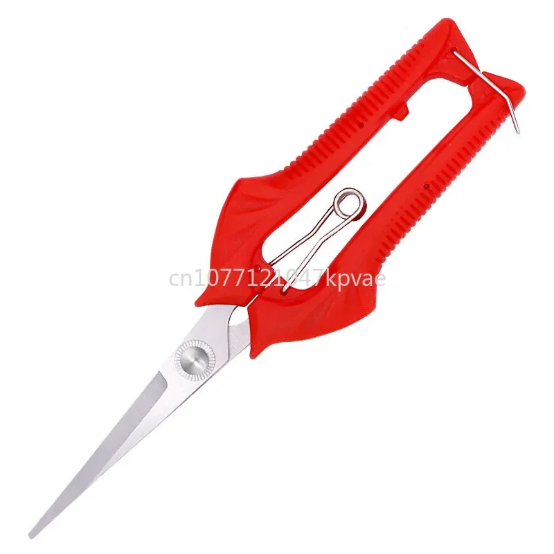 

Wholesale garden pruning scissors, picking fruit tree branches, bonsai tools, scissors, picking fruit scissors by manufacturers