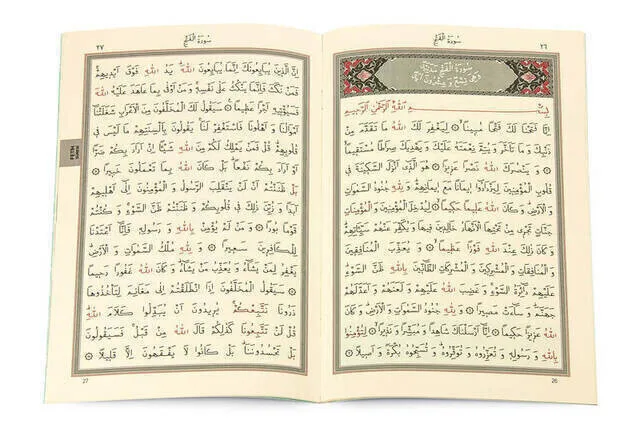 Рисунок 3 - 41 Ясин, оптовая продажа