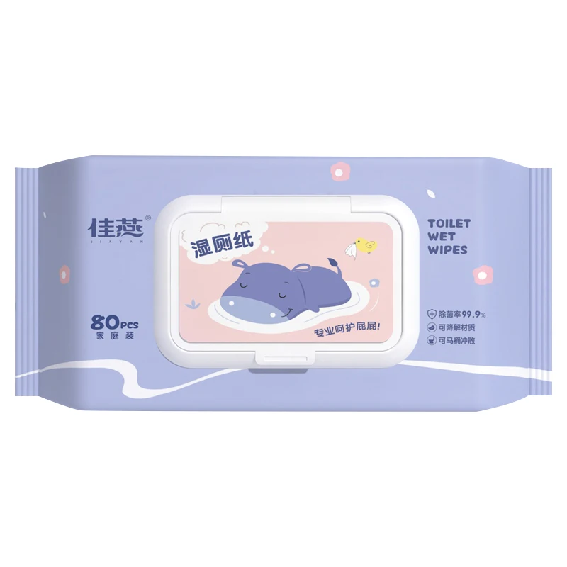 80pcs Home Care Hygiene Wipes Wet Toilet Paper Portable Pack Wet Wipes For Hemorrhoid Care Traveling Outdoors