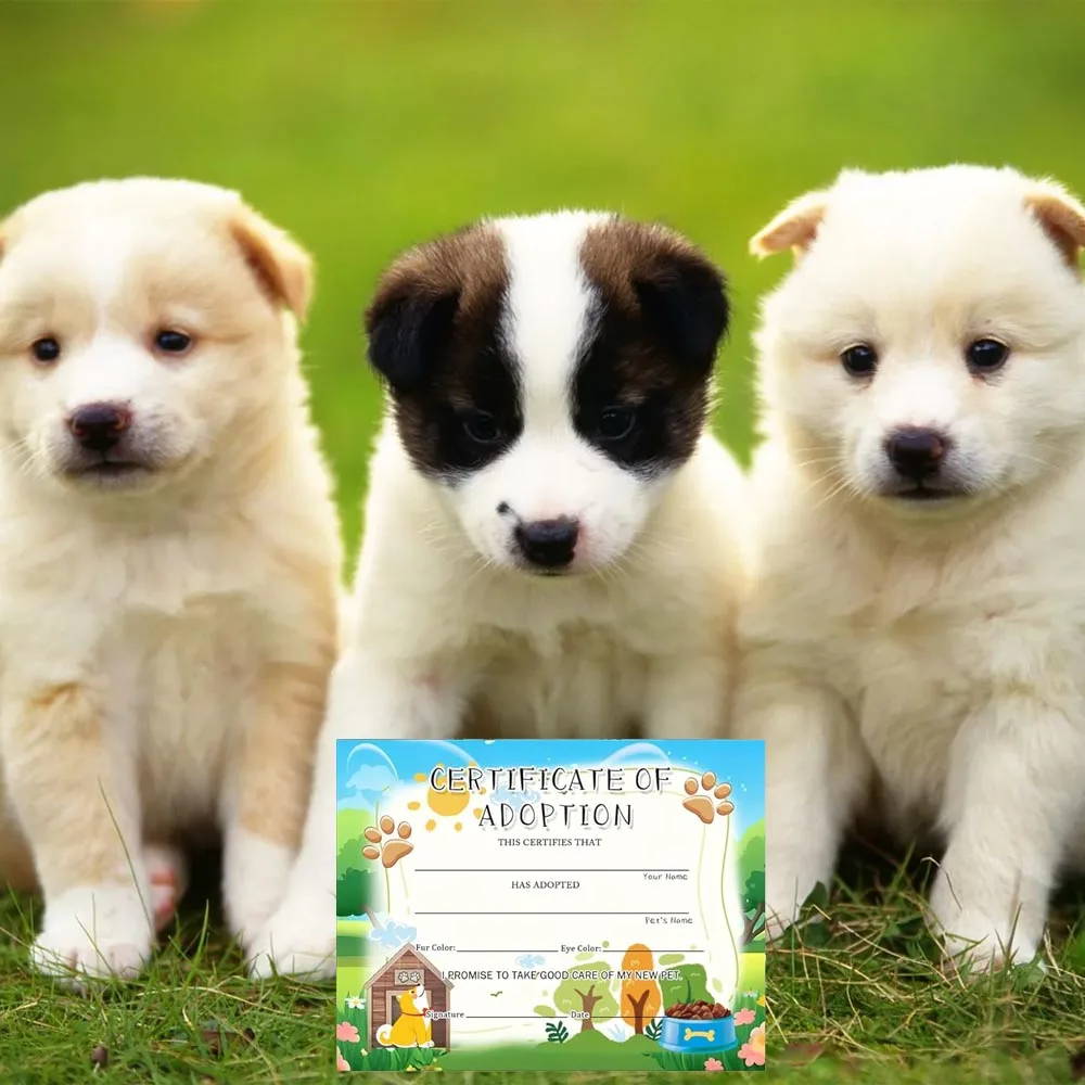 Dog Adoption Certificates 11x 8.5inch Dog Pet Adoption Card 12Pcs Animal Themed Certificates Party Favors and Supplies
