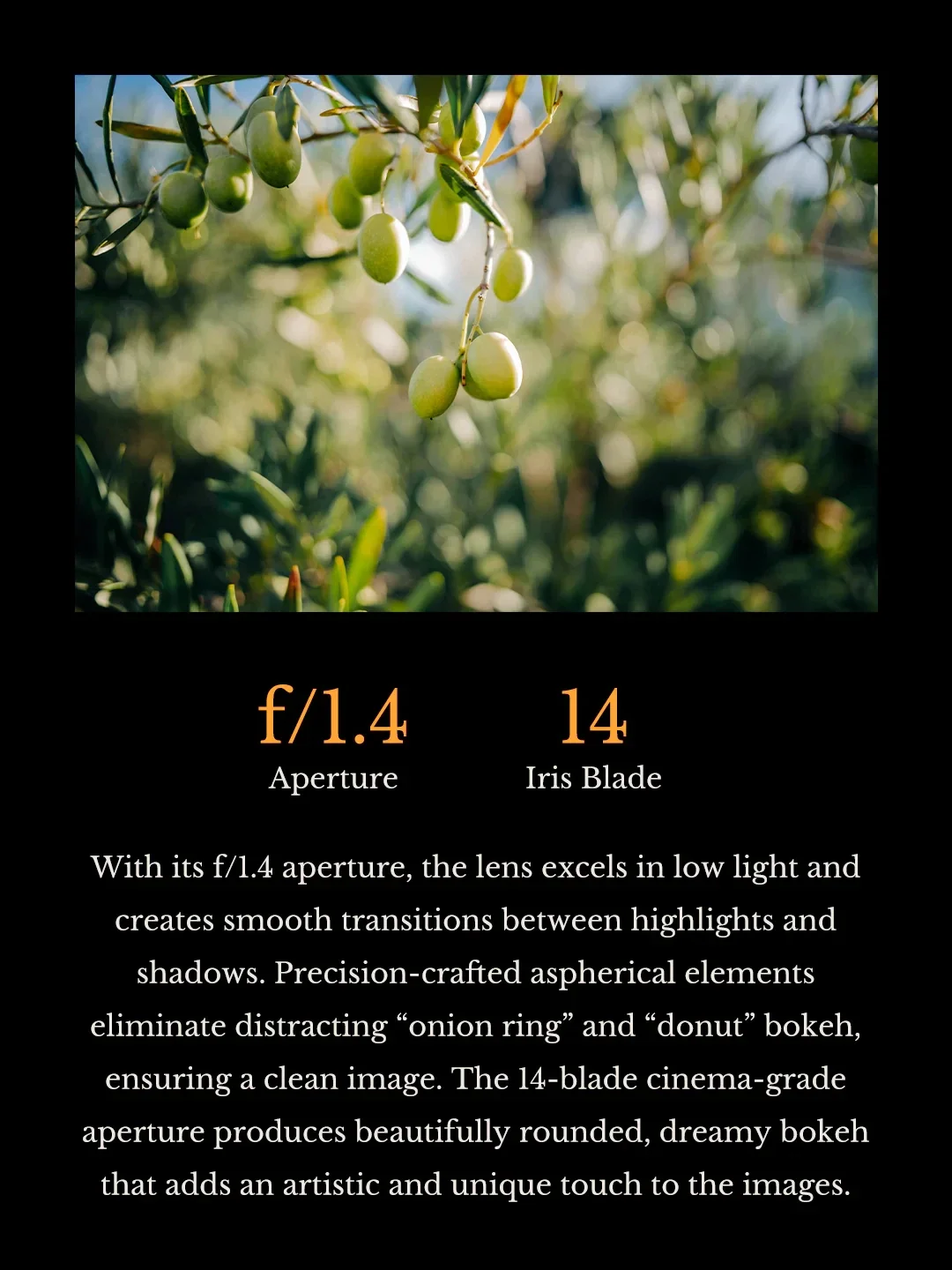 Thypoch Simera 21mm F1.4 라이카 M M240 M3 M5 M6 M7 M8 M9 M10 마운트 카메라용 풀 프레임 수동 초점 렌즈 ?