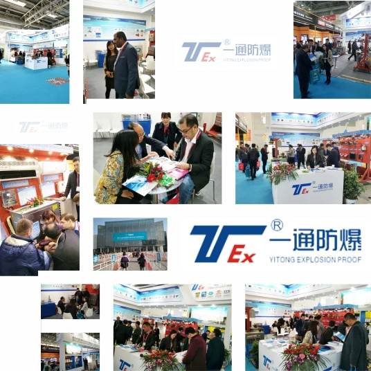 Рисунок 3 - 900 1200 1500 мм Взрывозащищенный