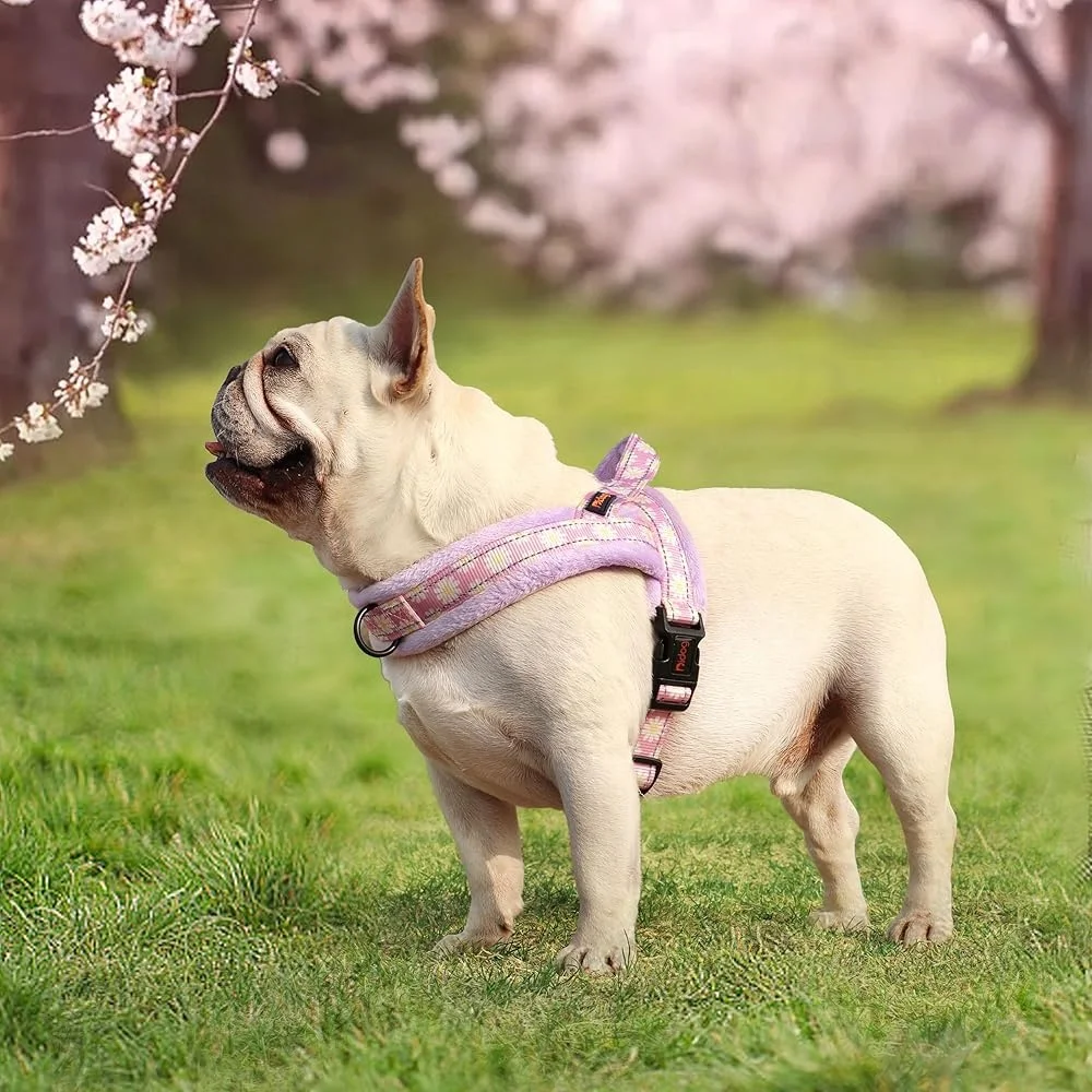 No Pull Dog Harness Image 3