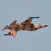 Freewing RC Plane 80mm Ducted Fan F5-n  Tiger "phantom." Edf Jet Simulation Model Of Airplanes Adult Toy Gifts 3