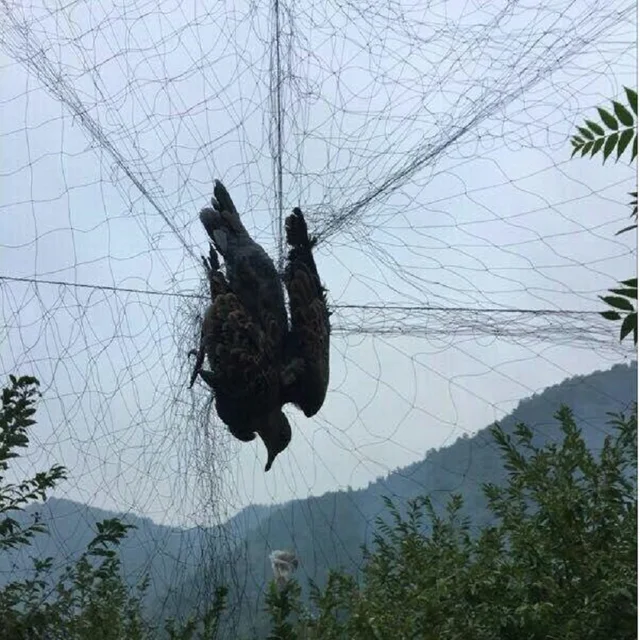 Anti Madár Madármegelőzés Háló Gyümölcs Növény Növényi Fák Kertjéhez 2Cm Nettó Lyuk 5X15/20 M-Es Fekete Nylon Madárháló - Image 6